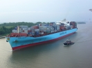 Maersk Kingston Reederei Maersk