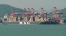 MSC Irene