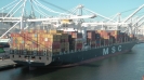 Containerschiffe :: MSC Heidi