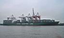 Cscl-Europe