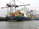 Containerschiffe :: MSC-Ela'
