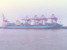 MAERSK  TUKANG