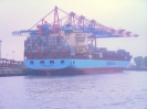 MAERSK  TUKANG