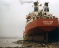 Tanker :: Blackfoot