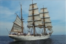 hanse sail rostock