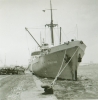 Stintfang  Reederei H. M. Gerckens