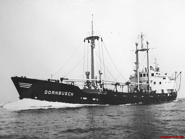 Dornbusch